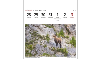 Alpen Sehnsuchtskalender 2025