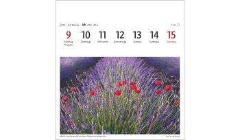 Provence Sehnsuchtskalender 2025