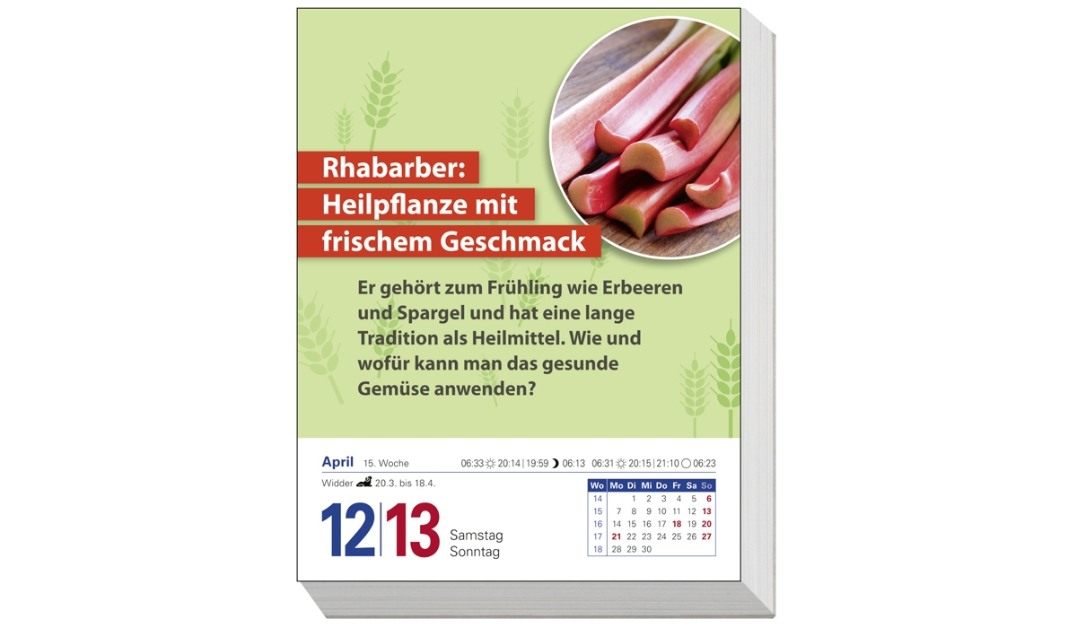 Die Ernährungs-Docs - Gesund durch das Jahr Tagesabreißkalender 2025