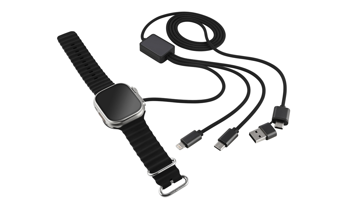 Ladekabel 65W Smartwatch BizChargePro