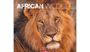 African Wildlife 2025