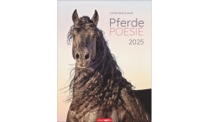 Pferdepoesie 2025